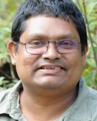 Himesh JAYASINGHELepidoptera