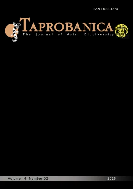 Latest Articles